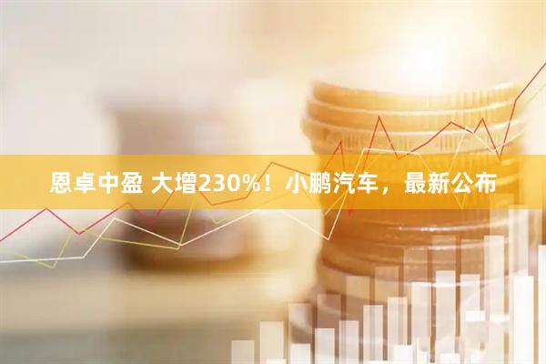恩卓中盈 大增230%！小鹏汽车，最新公布