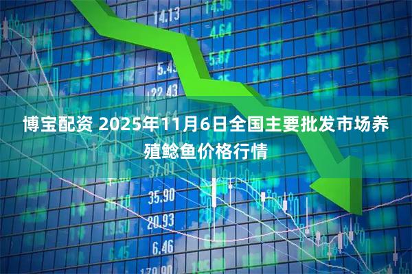 博宝配资 2025年11月6日全国主要批发市场养殖鲶鱼价格行情